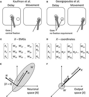 Commentary: Cortical activity in the null space: permitting preparation without movement